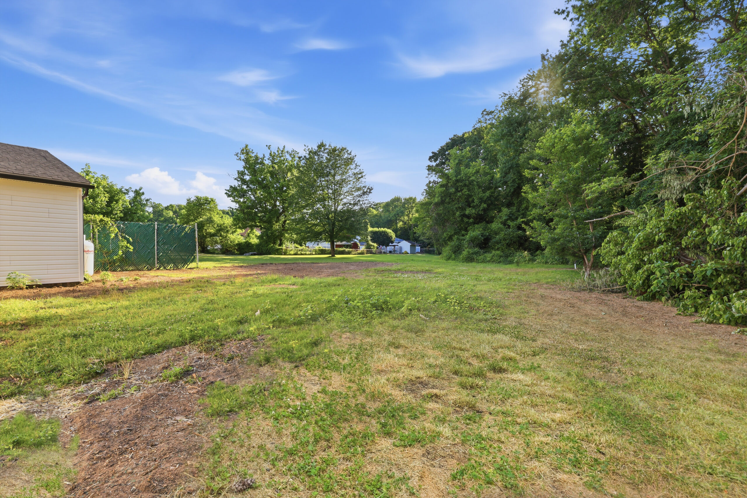 Green Grass - Before