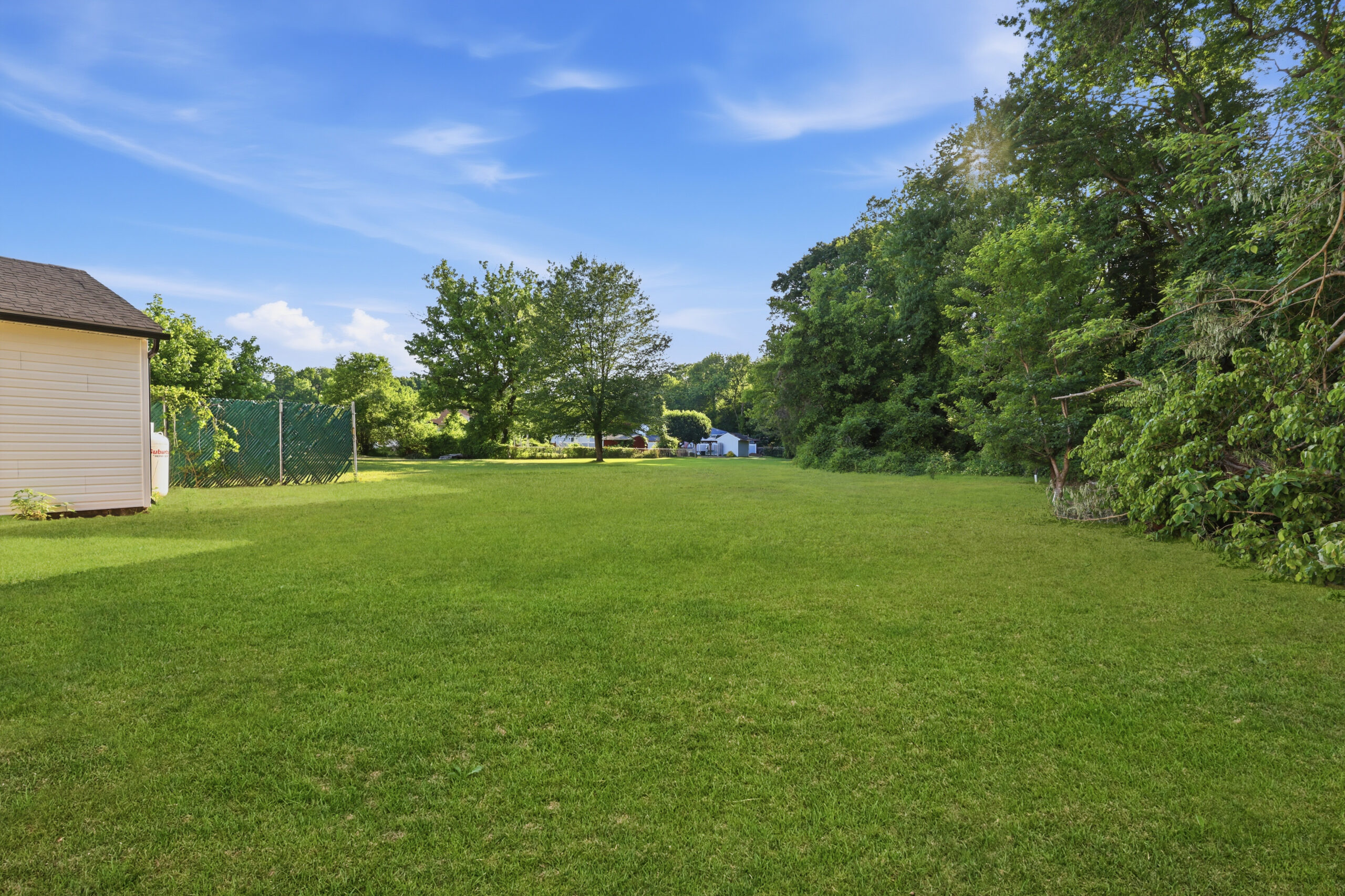 Green Grass - After
