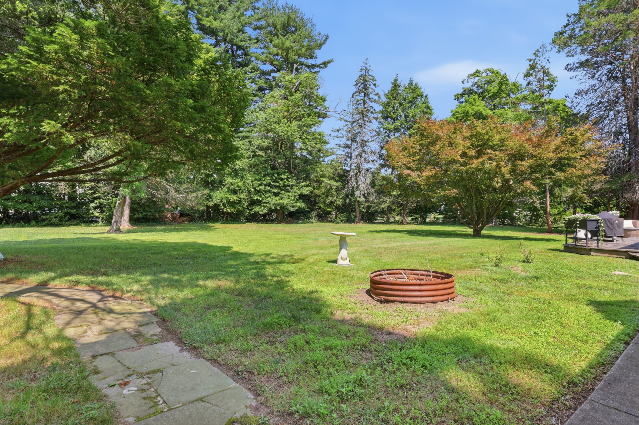 Green Grass - Before
