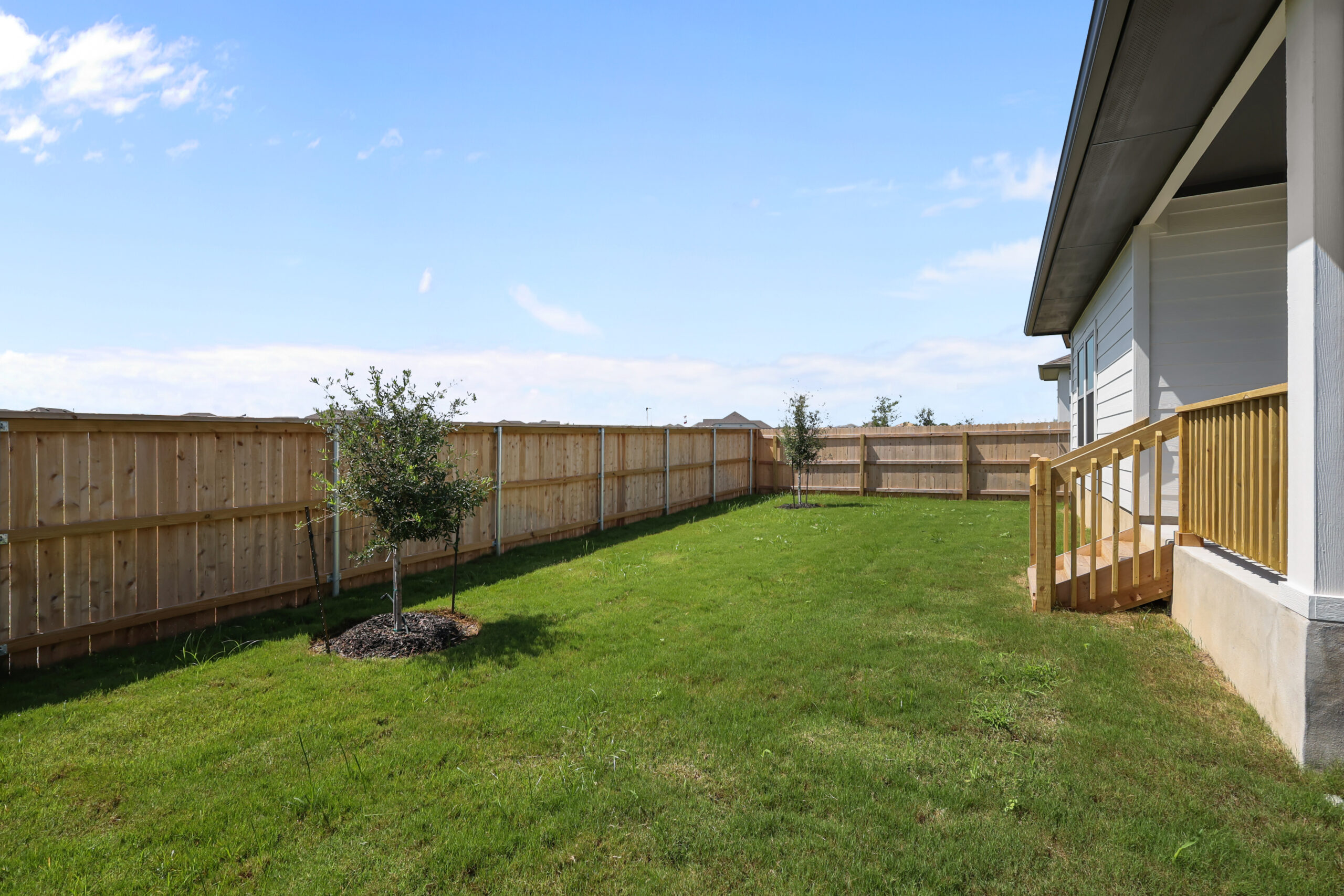Green Grass - Before