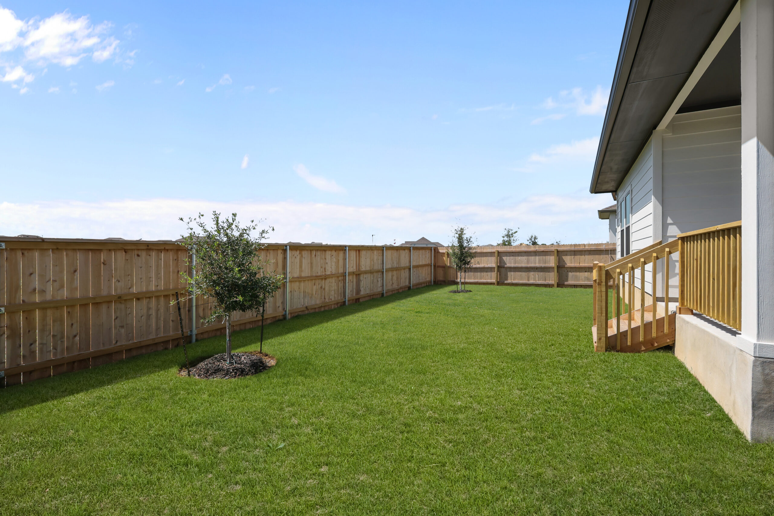Green Grass - After