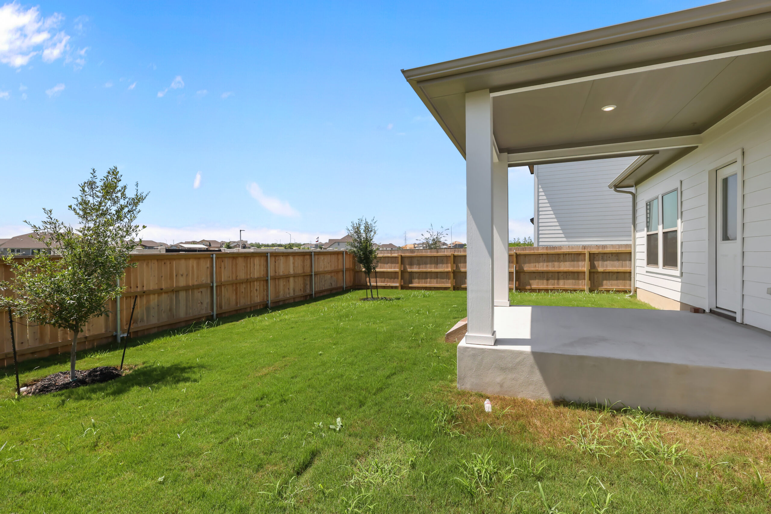 Green Grass - Before